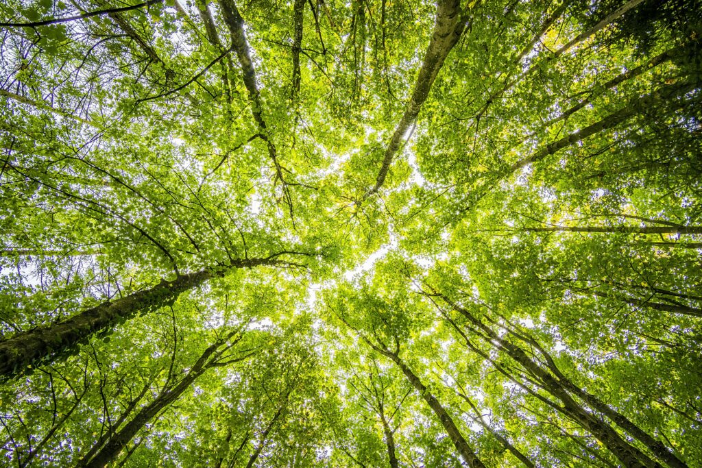 Mudança Climática